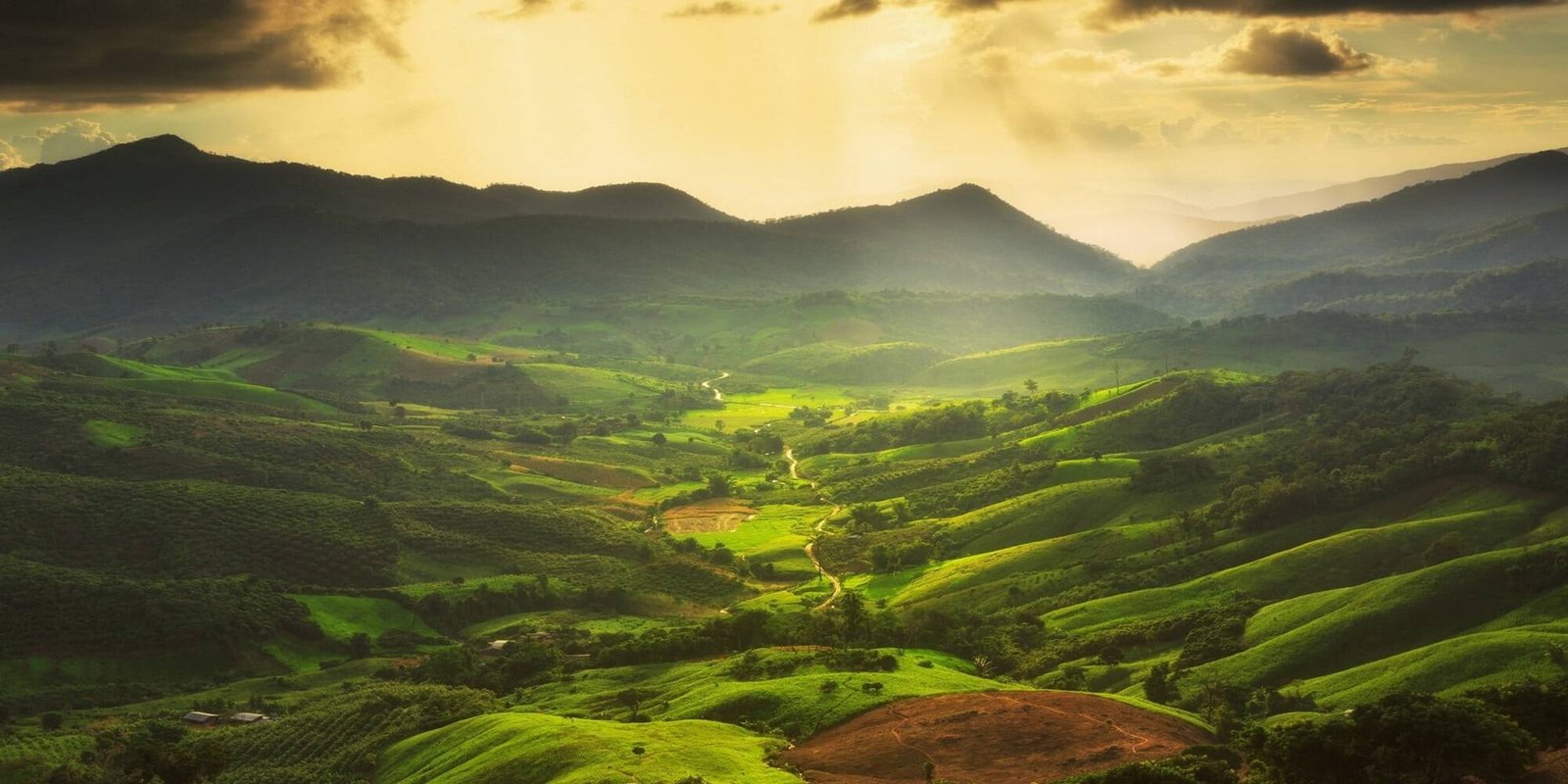 Farmland in Barkheda